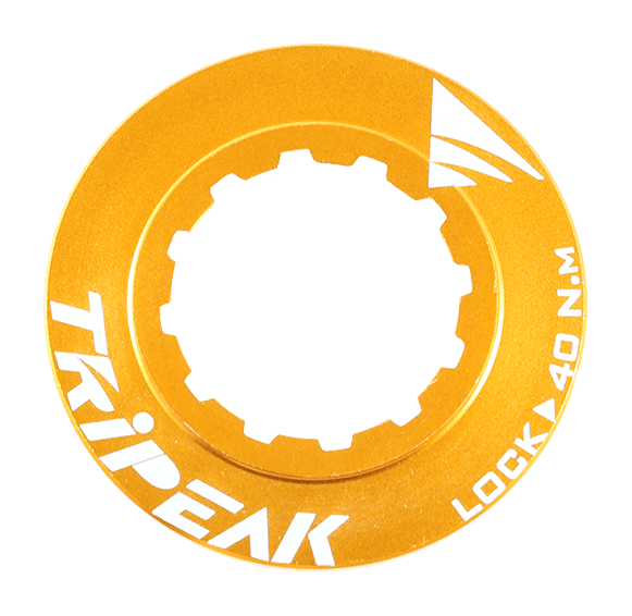 Lockrings — Gold